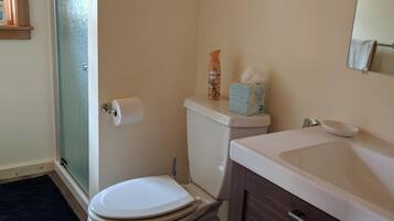 Een badkamer met toilet, wastafel, spiegel en douche.