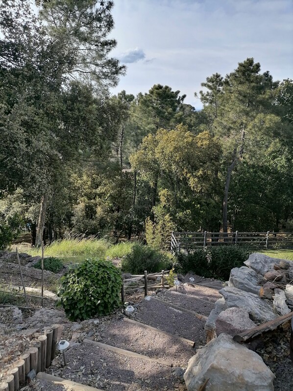 Enceinte de l’hébergement