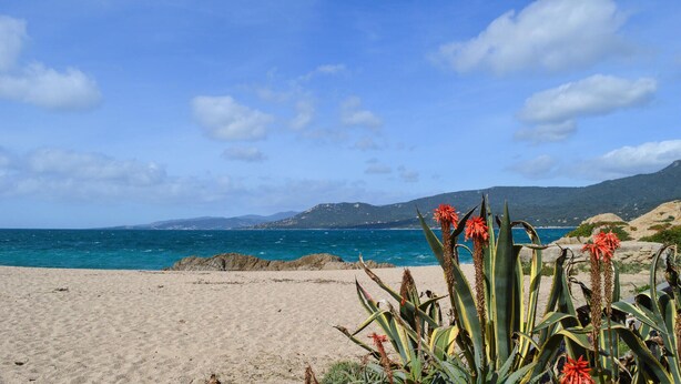A beach with clear blue water, sandy shore, and green vegetation in the foreground.