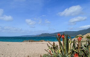 A beach with clear blue water, sandy shore, and green vegetation in the foreground. - 1 bedroom gorgeous apartment in Propriano (Propriano)