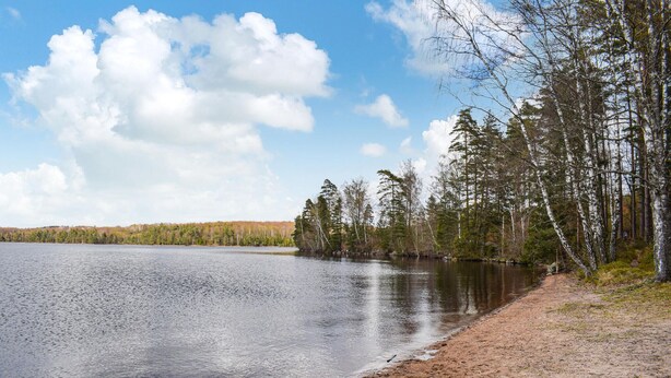 Järvi, jonka rannalla on hiekkarantaa, ja jota ympäröivät puut ja kirkas taivas.