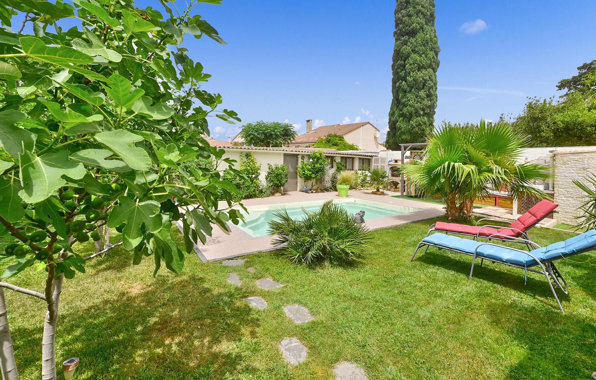 A backyard with a swimming pool, a tall tree, and a palm tree.