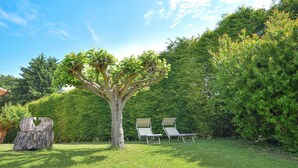 Un árbol con dos sillones de descanso en un área con césped.