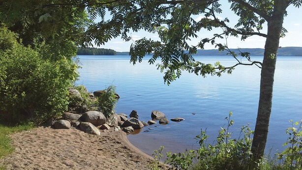 Et naturligt landskab med sandstrand, klipper og træer.