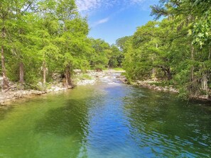 A river surrounded by dense green foliage.