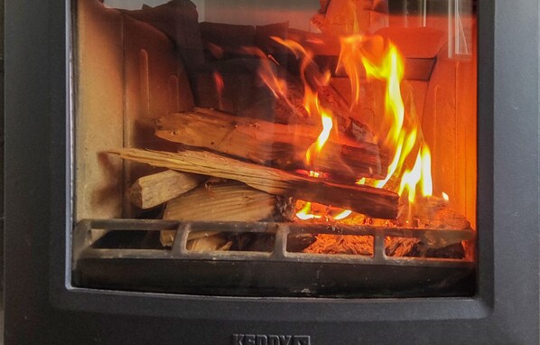 A wood-burning stove with visible flames and logs inside. - Lovely home in Tranås with lake view (Tranås)