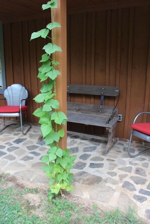 Terraço/pátio