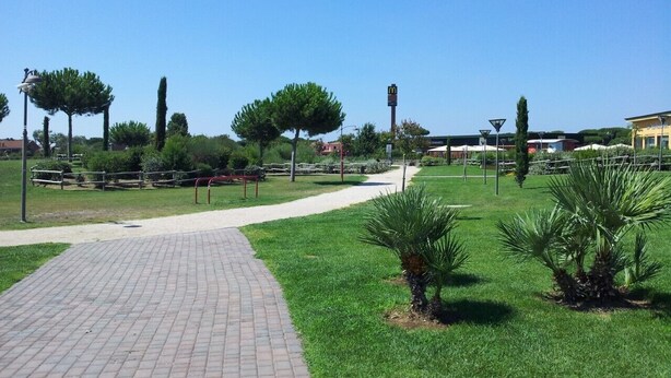 A paved pathway in a park with grass and small palm trees. - 3 bedrooms villa  Sleeps 6 with Garden (Roma)
