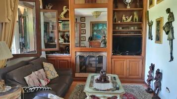 Fernseher, Kamin, Stereoanlage