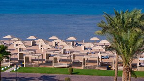 Un complexe hôtelier de bord de mer doté de plusieurs parasols et de chaises longues, d’un palmier et offrant une vue sur l’océan.