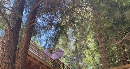 Cheerful Hillside cabin