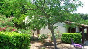 A garden with a white building, a tree, and a purple chair. - LES BALCONS DE LA CHIUSA House 6 persons 3 bedrooms in VICO 13 km from the beach (VICO)