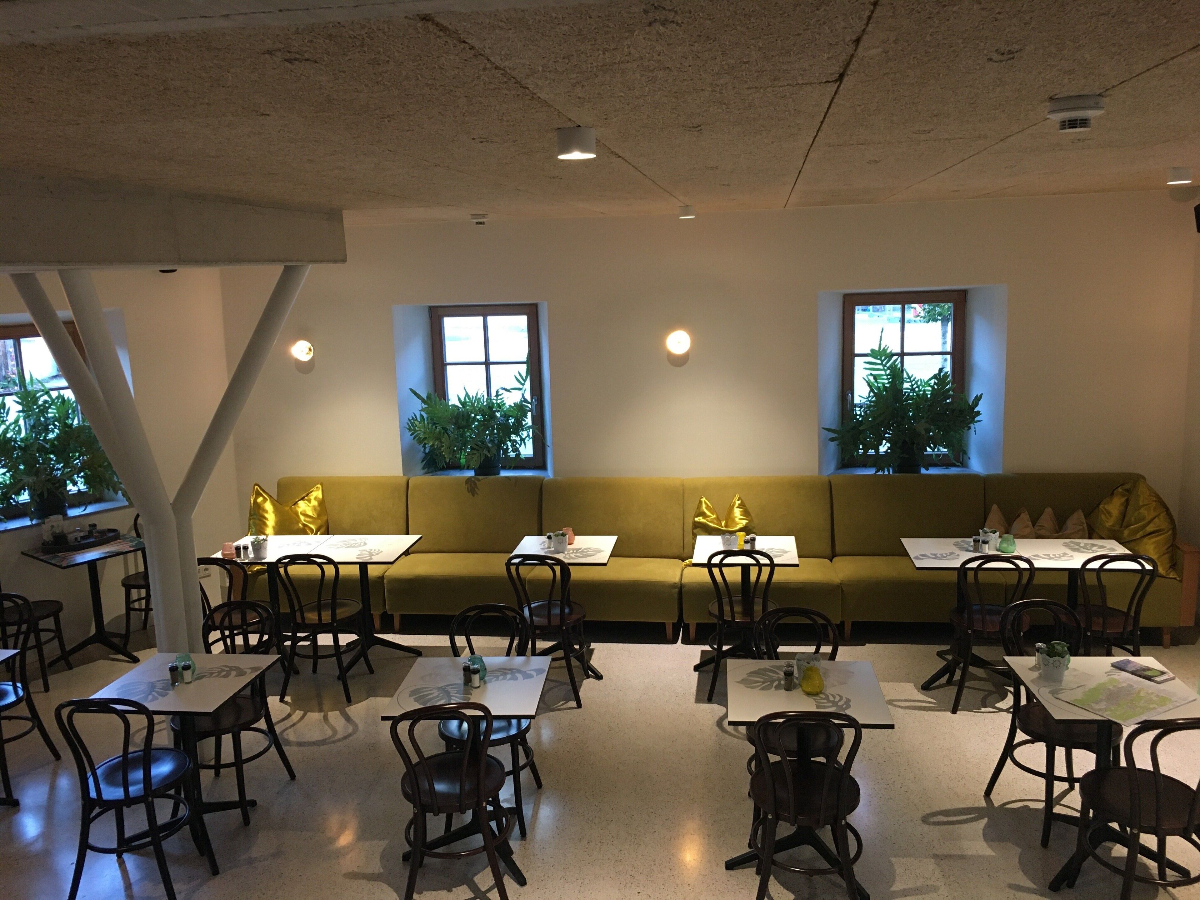 Een eetruimte met een lange tafel en stoelen, een bank en twee ramen met planten.