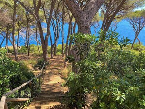 Parco della struttura