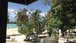 A beach with palm trees, beach umbrellas, and lounge chairs. - Room-private Room in the Boca Chica Reso (Boca Chica)
