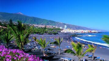 Studio, Multiple Bedrooms, Smoking, Patio | Beach | Beach nearby