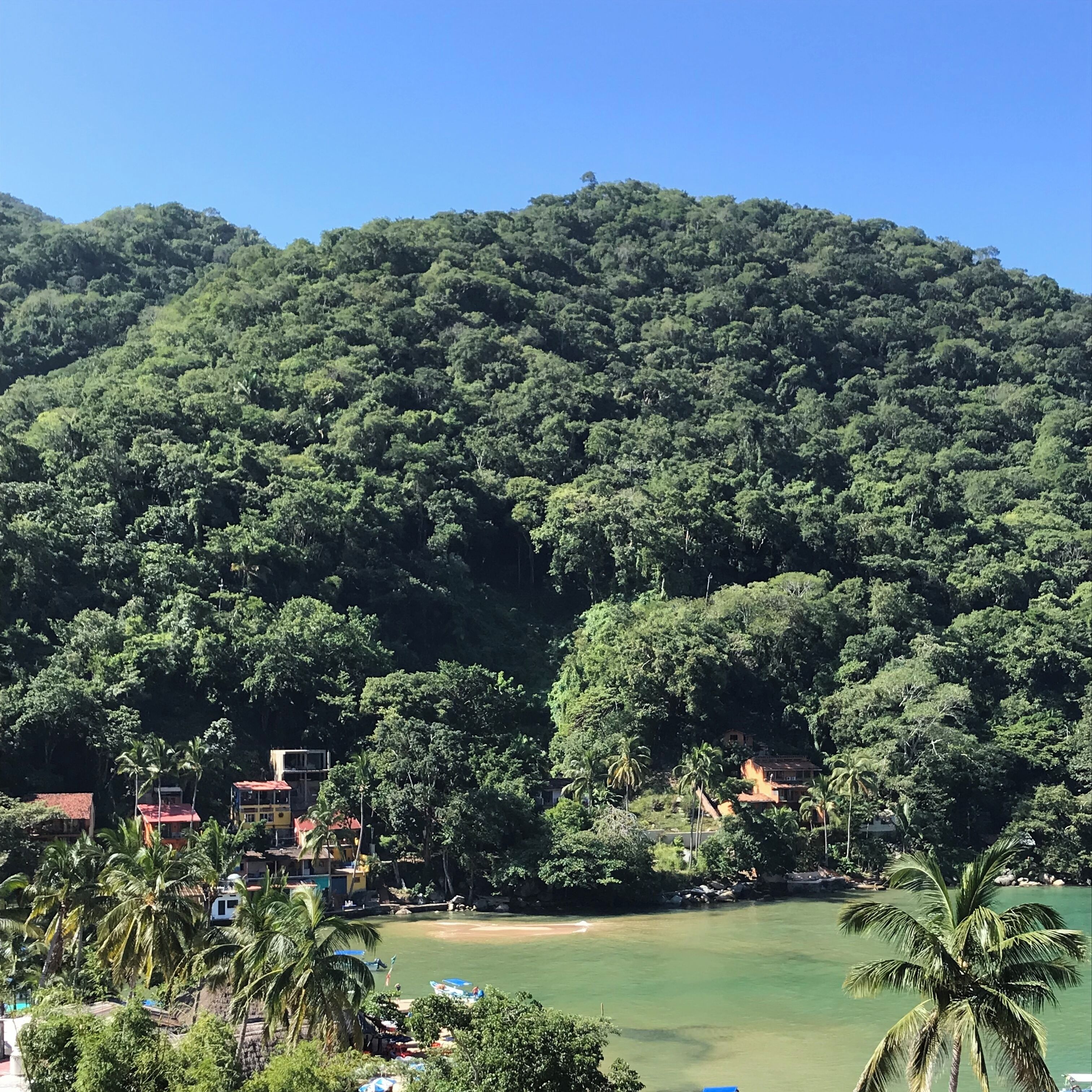 A coastal area with a beach, dense forested hills, and several buildings with red roofs.