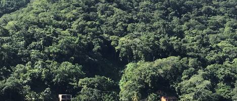 A coastal area with a beach, dense forested hills, and several buildings with red roofs.