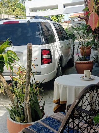 Jardín