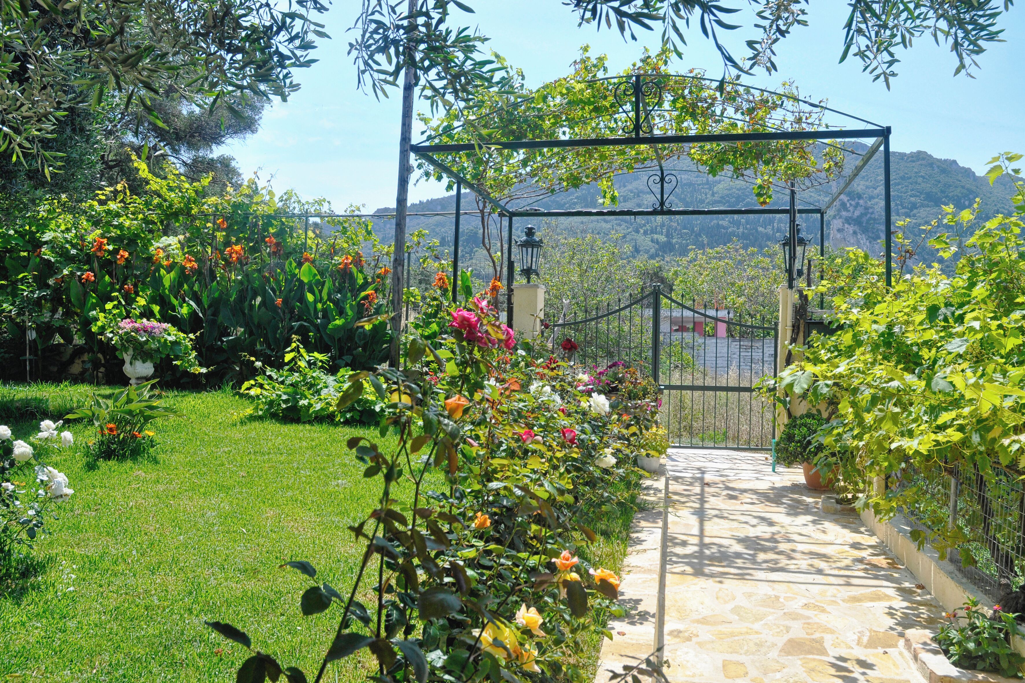 A garden pathway leading to a gate, surrounded by various flowering plants and greenery.