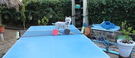 Overnattingsstedets uteområder