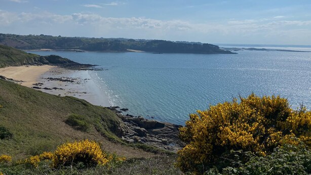 Een kustlandschap met een zandstrand, rotsachtige kustlijn en struiken met gele bloemen.