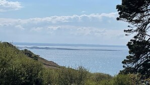 Eine Küstenlandschaft mit Blick auf das Meer, Vegetation und einer entfernten Landmasse.