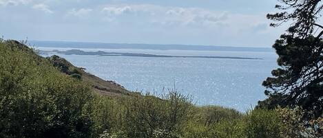 A coastal landscape with a view of the sea, vegetation, and a distant landmass.