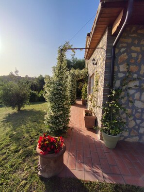 A stone building with a brick pathway leading to a wooden door. There are potted plants and a large flower pot with red flowers.