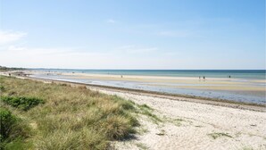 Ein Strand mit sandigem Ufer und einer Wiese im Vordergrund.