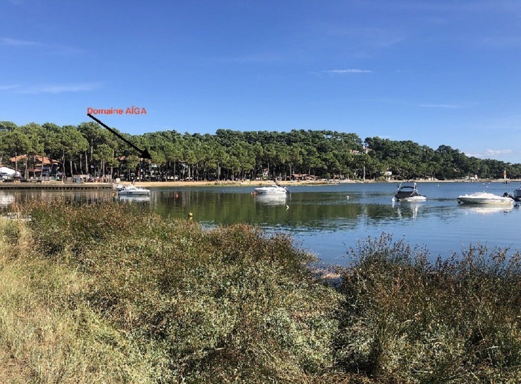 A calm lake with boats, a forested shoreline, and a clear sky.