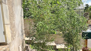 Un petit espace extérieur aménagé avec une table ronde et un banc, entouré de verdure et d’un mur de pierres.