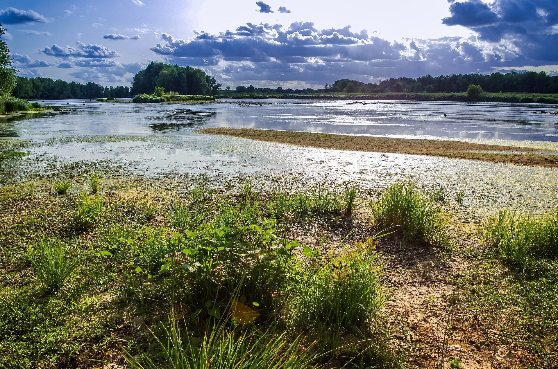 A riverbank with grassy areas and trees in the background.