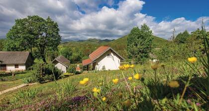 Nice Home in Kaluderovac With 1 Bedrooms and Wifi