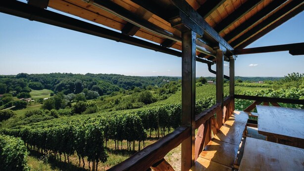 A wooden deck with a view of a vineyard and rolling hills. - Beautiful Home in Hrnjanec With 1 Bedrooms and Wifi (Sveti Ivan Zelina)