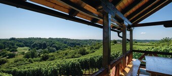 Beautiful Home in Hrnjanec With 1 Bedrooms and Wifi