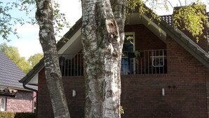 Un grand arbre, doté d’un tronc épais et de nombreuses branches, se dresse devant un bâtiment en briques, qui possède une fenêtre et une porte.