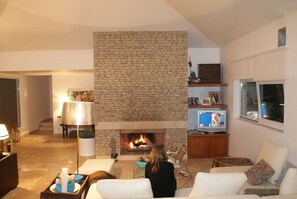 Smart TV, fireplace, books