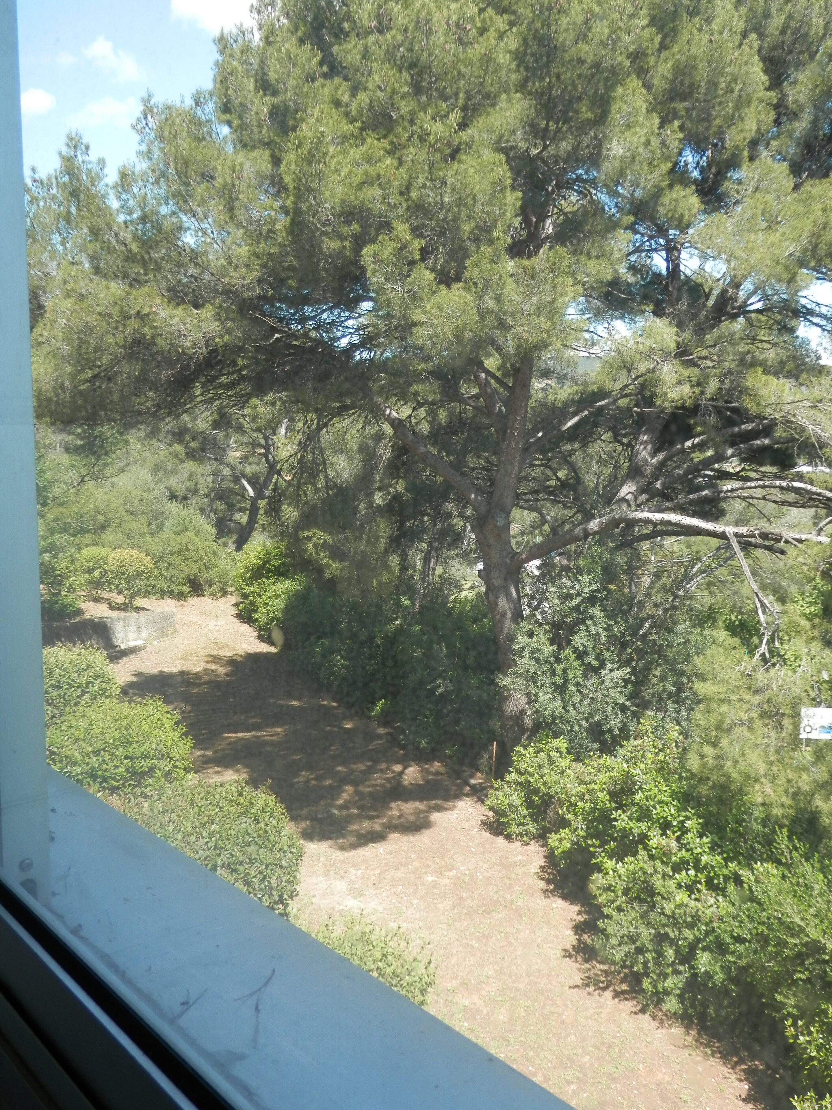 View from property