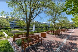 テラス / パティオ