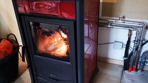 Un poêle à bois dont on peut voir les flammes, avec une façade noire et un panneau de commande rouge.