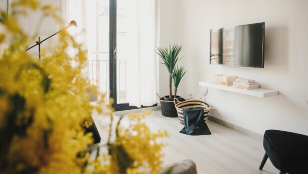 A modern living room with a flat-screen TV, a potted plant, a striped chair, and a bookshelf.