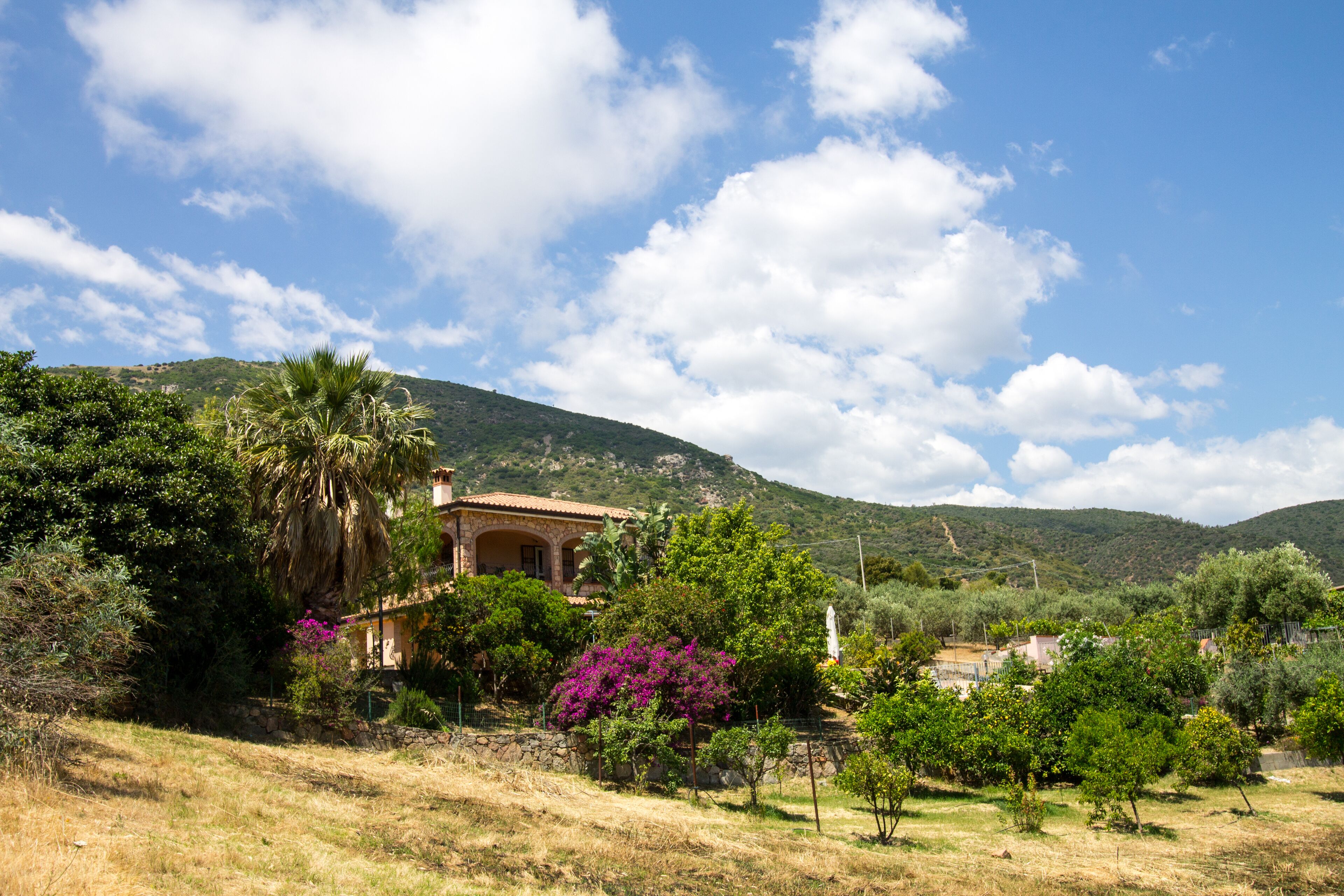 Overnatningsstedets område