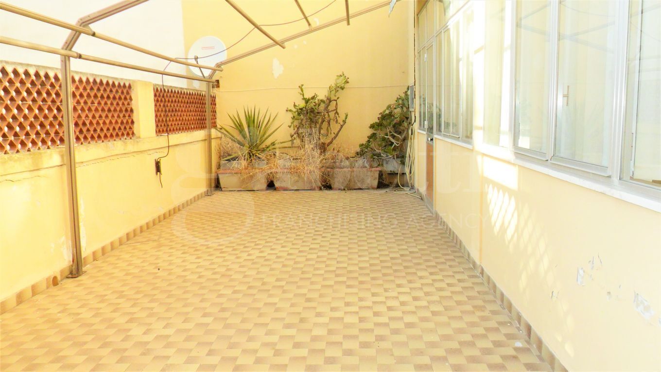 A sunlit room with a checkered floor, metal mesh walls, and potted plants.