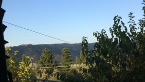 Un balcon agrémenté de plantes en pot, doté d’une rambarde en métal et offrant une vue sur un paysage montagneux.
