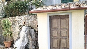 Un muro de piedra con una puerta de madera, una planta en maceta y un tejado de baldosas.
