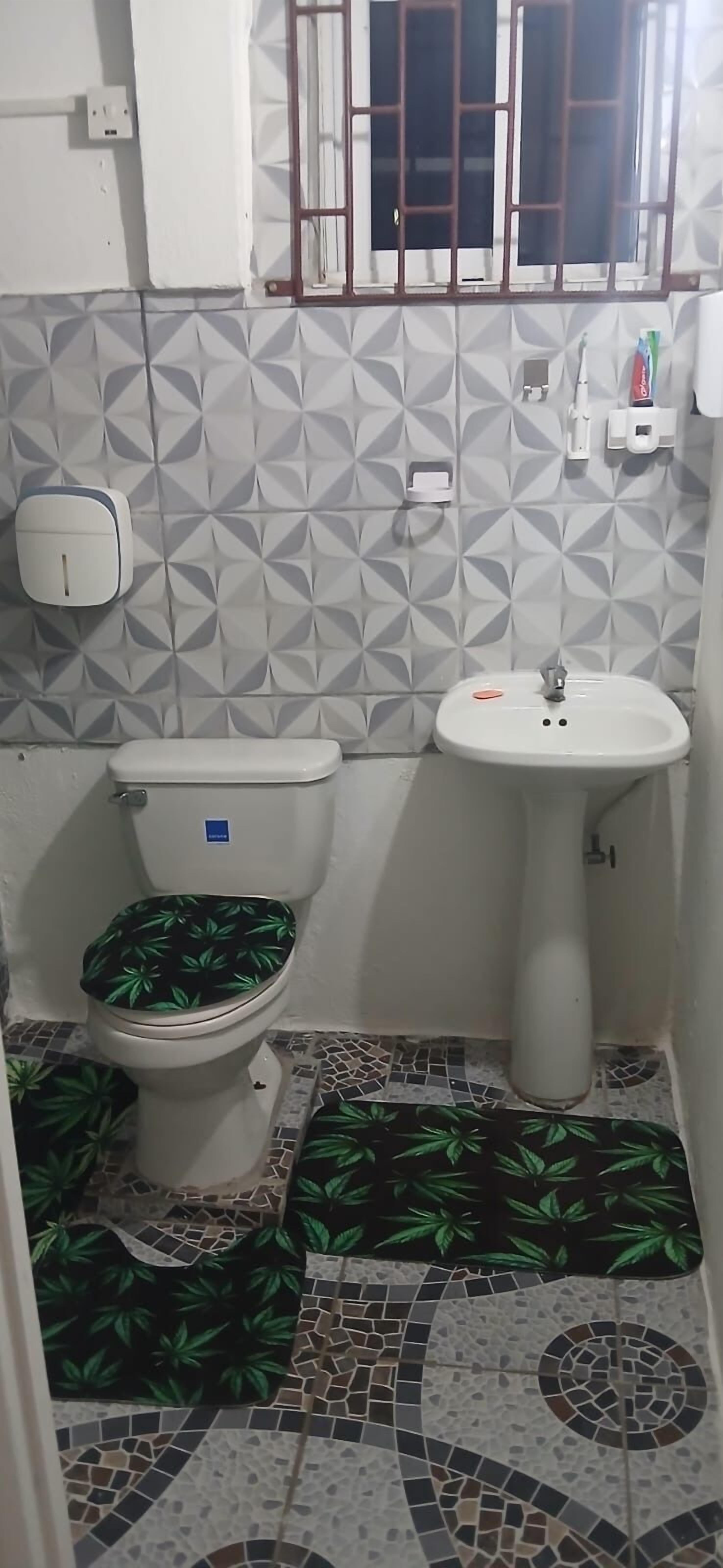 Combined shower/tub, towels, soap, toilet paper
