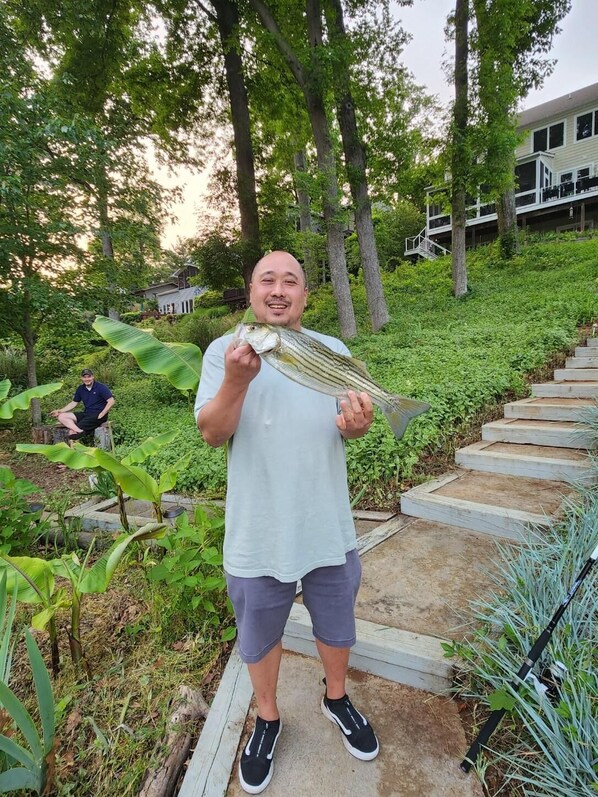 Property grounds - HUGE DISCOUNTS FOR STAYS BY THE WEEK AND MONTH! 1ST CLASS AMEMITIES! (Annapolis)