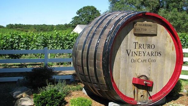 Une barrique en bois portant les étiquettes « Truro Vineyards » et « Oil Cape Cod ».