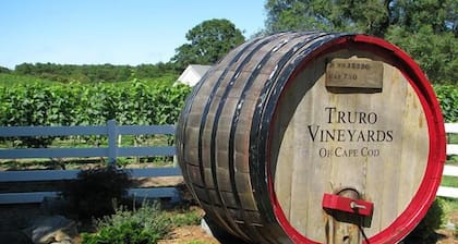 Luxury Romantic 'Studio by the Beach' Free WiFi, Central Air and Heat